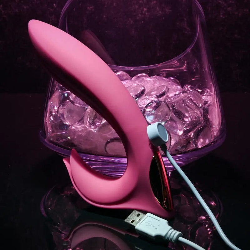  bliss vibrator pink with charger