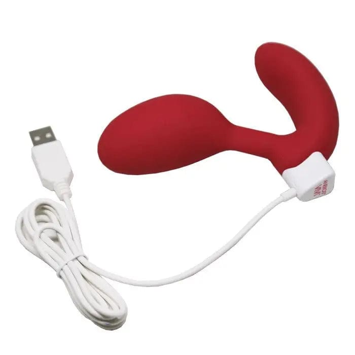 aneros vivi g-spot vibe with charging cable