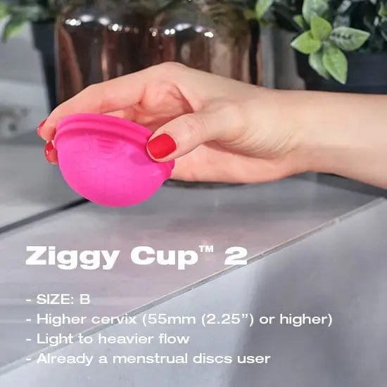 INTIMINA Accessories / Miscellaneous Intimina Ziggy Cup 2 Size B