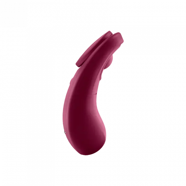 Satisfyer Other Satisfyer Sexy Secret Panty Vibrator in Wine Red