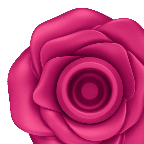 Satisfyer Pro 2 Classic Blossom Air Pulse Vibrator - Dreamy Desire