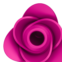 Pro 2 Modern Blossom - Dreamy Desire