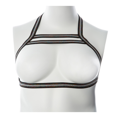 Gender Fluid Silver Lining Harness S-L *