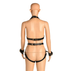 Master Series Body Harness with Restraints, view 6