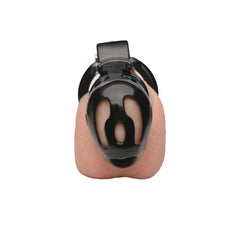 Master Series Hard Stop cage, view 4