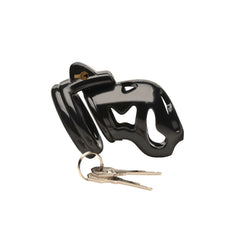 Master Series Hard Stop cage, view 2