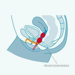 Anatomical diagram showing Smartballs Duo placement near pelvic floor muscle, side view