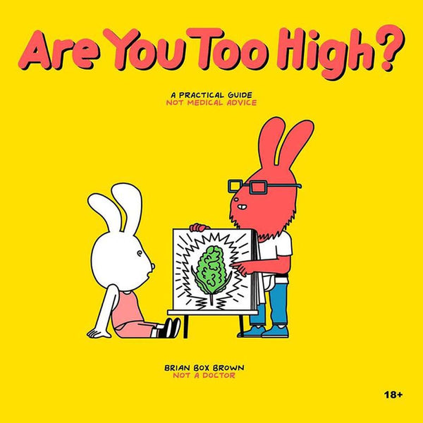 Are You Too High? book cover, yellow background, cartoon rabbit characters, practical guide by Brian Box Brown