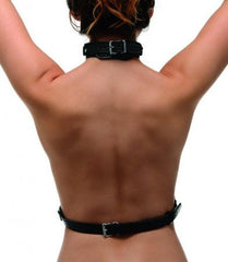 Back view of black adjustable chest harness with buckle collar and waist strap