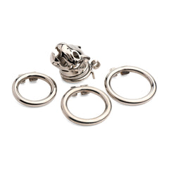 Caged Cougar cage beside three interchangeable stainless steel base rings of varying sizes