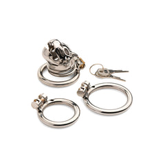 Caged Cougar locking chastity cage disassembled showing three base rings and two keys