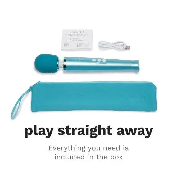 Complete Le Wand Dive box contents laid flat: wand massager, storage bag, USB cable, and manual