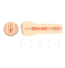 Cross-section and ruler scale view of FeelReagan Foxx Stroker internal ribbed canal texture