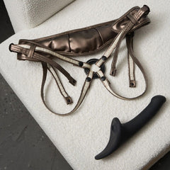 Desirous harness laid flat beside included black silicone dildo, showing full strap configuration