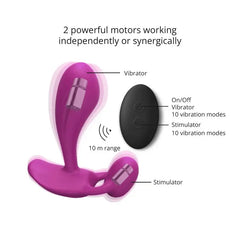 Diagram showing dual independent motors, 10 vibration modes each, 10 m remote range
