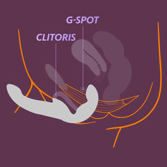 Diagram showing internal G-spot and clitoral positioning for Share Vibe Pro placement