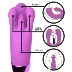 Diagram showing three stimulator tips targeting G-spot, labia, and clitoris