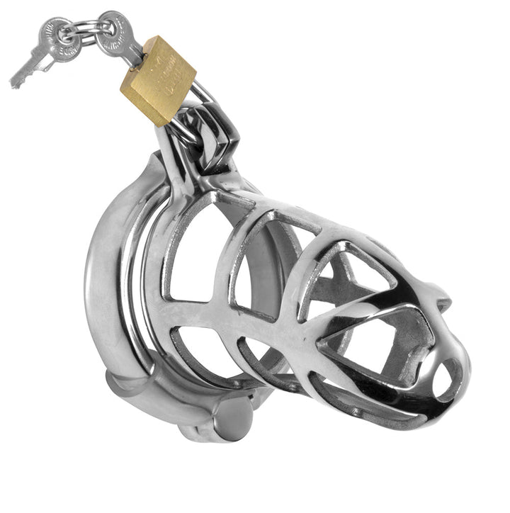 Master Series Detained Stainless Steel Chastity Cage – short silver metal cage with hinged base ring
