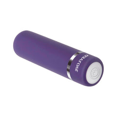 Evolved Purple Passion bullet vibrator in matte purple silicone with silver accent ring and power button