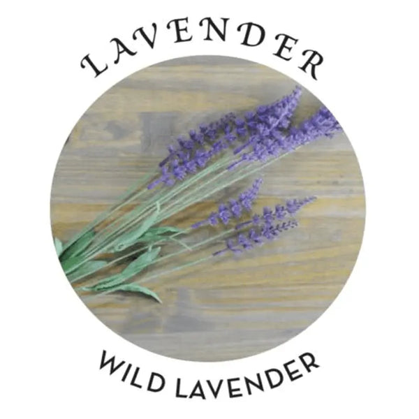 Fresh wild lavender sprigs on wood surface, reflecting the oil's calming floral scent