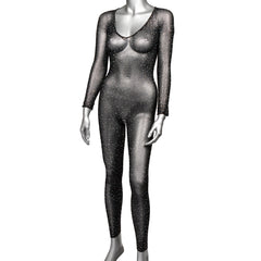 Front view of Radiance black mesh bodysuit with V-neckline and long sleeves on mannequin