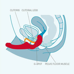 SHARE - Dreamy Desire