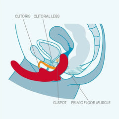 Fun Factory Share Vibe - Dreamy Desire