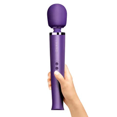 Hand holding Le Wand rechargeable massager upright, showing full length and ergonomic handle grip