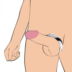 Illustrated diagram showing correct placement of a stainless steel cock ring on male anatomy