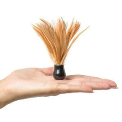 Kama Sutra Honey Dust Body Powder Tropical Mango 1 Oz - Dreamy Desire