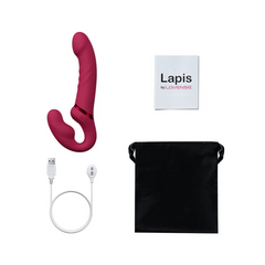 Lapis complete kit: dildo, magnetic USB charging cable, storage bag, and guide