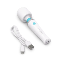Le Wand Classique Mini wand massager beside coiled white USB-C charging cable on white surface