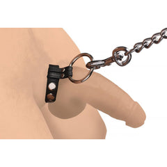 Leather cock and ball ring shown in use with attached silver chain leash connection