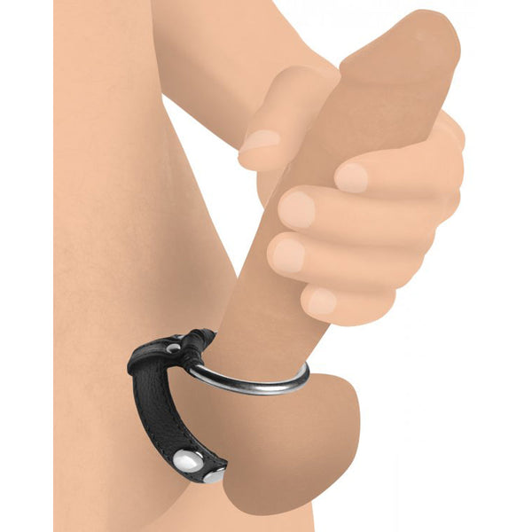 Leather & Steel Cock & Ball Ring worn at base showing adjustable strap and ring fit