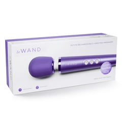 Petite Rechargeable Massager - Violet - Dreamy Desire