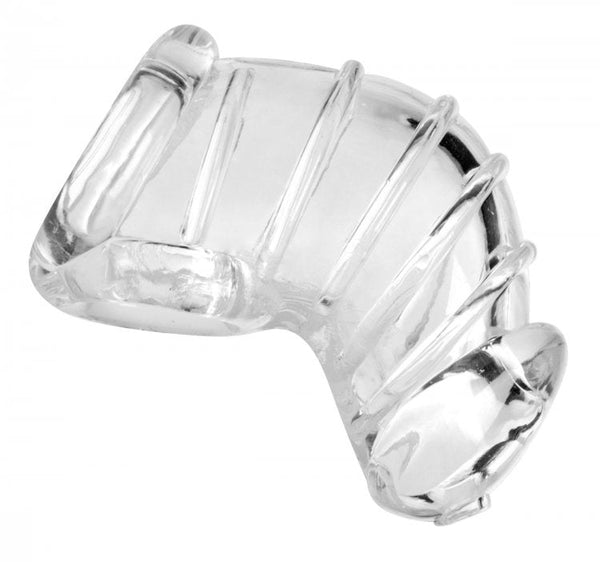 Master Series Detained Soft Body Chastity Cage in clear flexible TPR, front view
