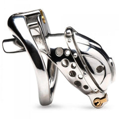 Master Series Entrapment stainless steel chastity cage with curved base ring and gold-tone lock