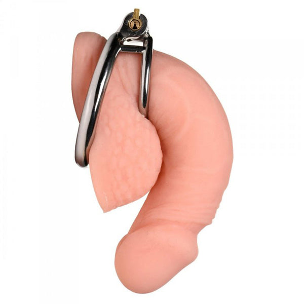 Master Series Locked Cock stainless steel locking cock and ball ring shown on realistic model