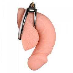 Master Series Locked Cock stainless steel locking cock and ball ring shown on realistic model