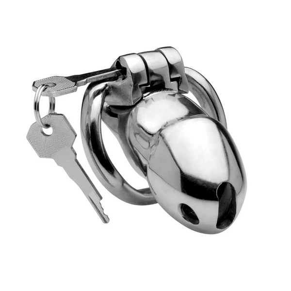 Master Series Rikers stainless steel chastity cage with lock and two keys, front view