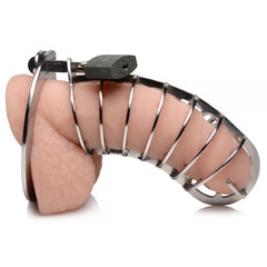 Close-up of Master Series spiked chastity cage fitted on model, side profile view