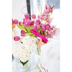 Nu Sensuelle Tulip - Dreamy Desire