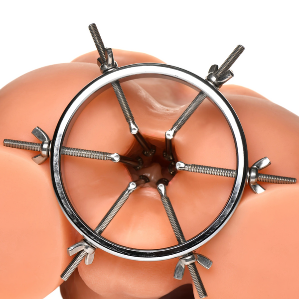 Oculus Stainless Steel Anal Explorer shown inserted on a body-safe silicone model, front view
