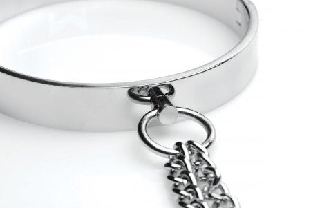 Close-up of polished stainless steel collar clasp with attached O-ring and chain detail