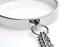 Close-up of polished stainless steel collar clasp with attached O-ring and chain detail