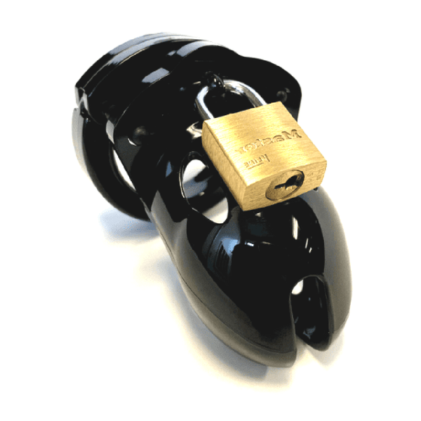 Rear angle of the Mr. Stubb black cock cage showing ventilated cage body and locked brass closure