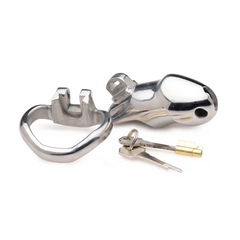 Rikers chastity cage disassembled showing base ring, cage, padlock, and two keys