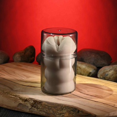 Riley Reid Mini Stroker fully enclosed in sealed clear acrylic travel canister with lid on
