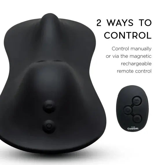 Rodeo Rumbler top-down view with four-button magnetic rechargeable remote control