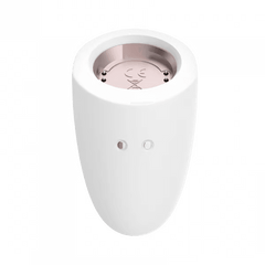 Satisfyer Marvelous Four Set - Dreamy Desire